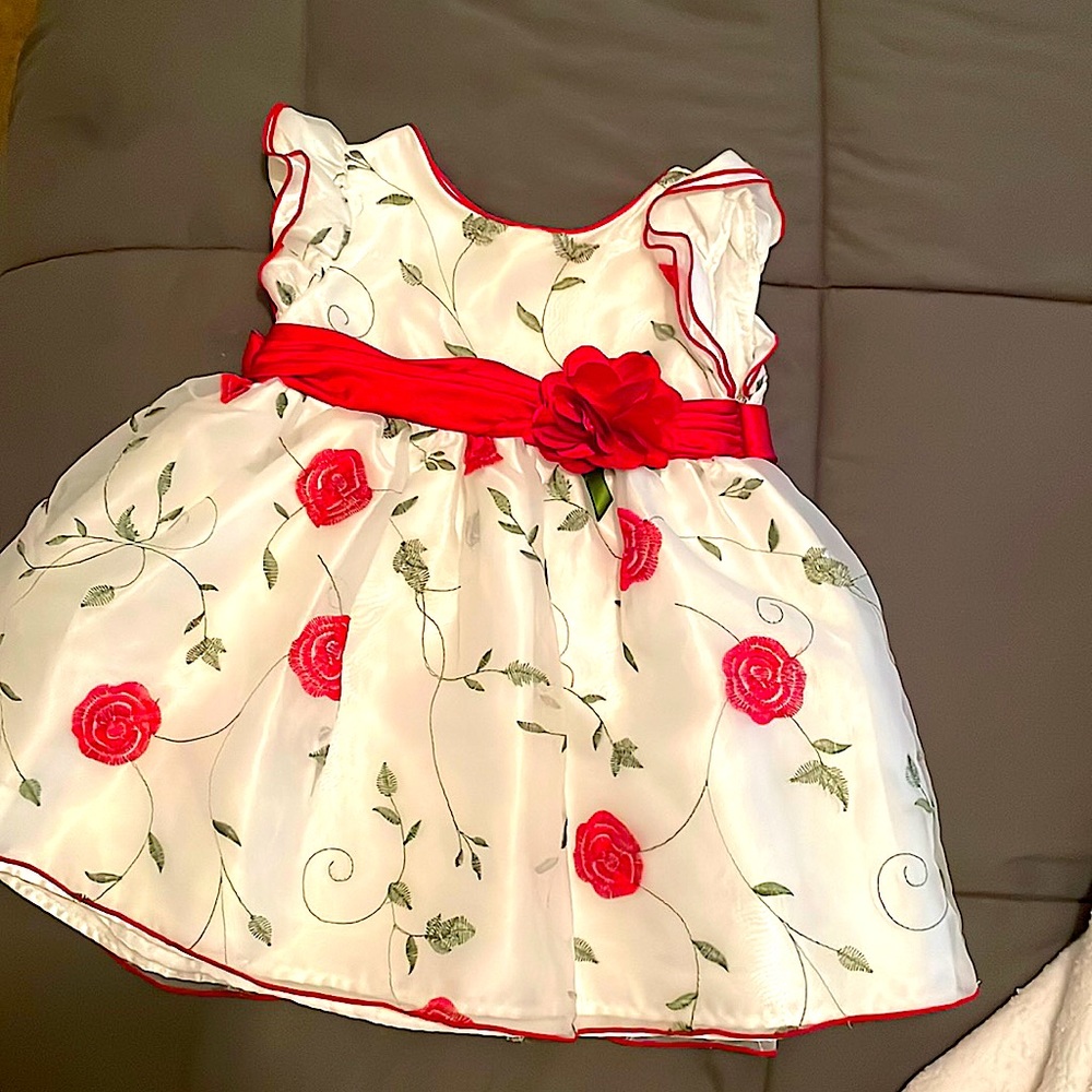 Sweet heart rose dress for infants. Beautiful white dress with roses and vines